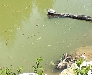 Einzug im MaVida Park